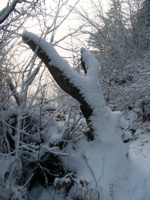 11.27.05 Nesmith Point 059 